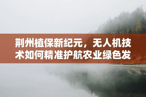 荆州植保新纪元，无人机技术如何精准护航农业绿色发展？