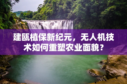 建瓯植保新纪元，无人机技术如何重塑农业面貌？
