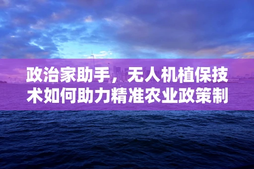 政治家助手，无人机植保技术如何助力精准农业政策制定？