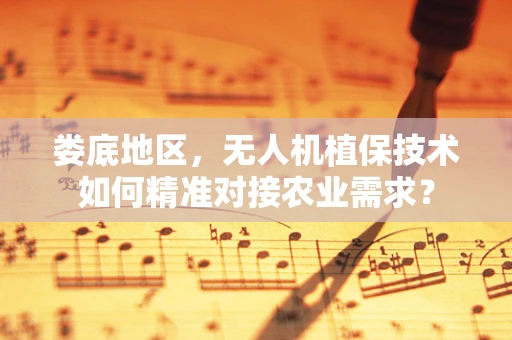 娄底地区，无人机植保技术如何精准对接农业需求？