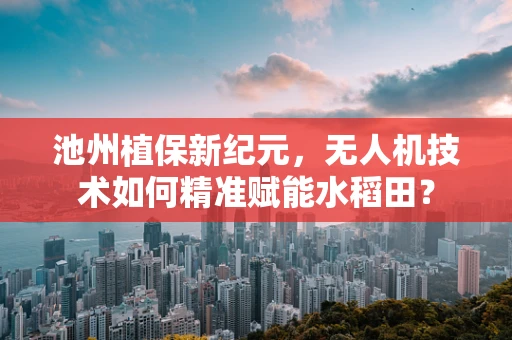 池州植保新纪元，无人机技术如何精准赋能水稻田？
