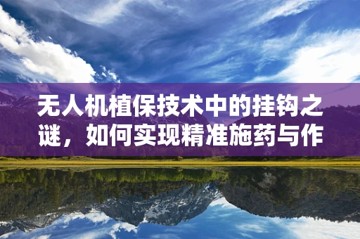 无人机植保技术中的挂钩之谜，如何实现精准施药与作物保护？