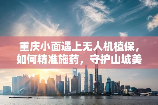 重庆小面遇上无人机植保，如何精准施药，守护山城美味？