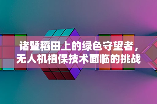 诸暨稻田上的绿色守望者，无人机植保技术面临的挑战与解决方案