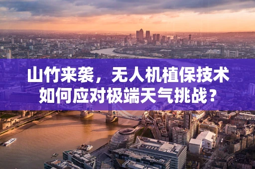 山竹来袭，无人机植保技术如何应对极端天气挑战？