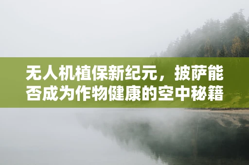 无人机植保新纪元，披萨能否成为作物健康的空中秘籍？