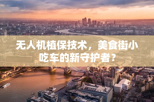 无人机植保技术，美食街小吃车的新守护者？