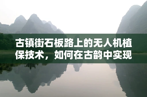 古镇街石板路上的无人机植保技术，如何在古韵中实现精准施药？