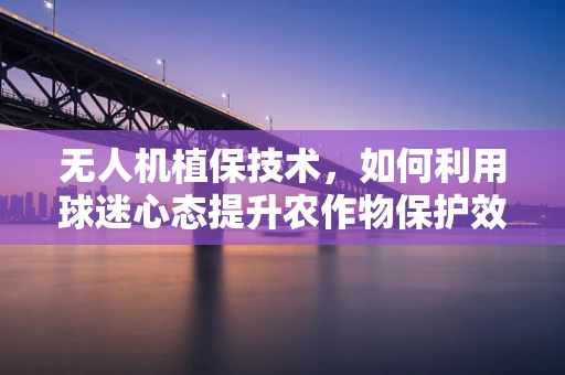 无人机植保技术，如何利用球迷心态提升农作物保护效率？