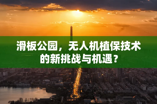 滑板公园，无人机植保技术的新挑战与机遇？