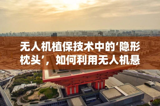 无人机植保技术中的‘隐形枕头’，如何利用无人机悬挂系统实现精准施药？