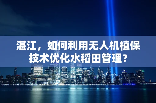 湛江，如何利用无人机植保技术优化水稻田管理？
