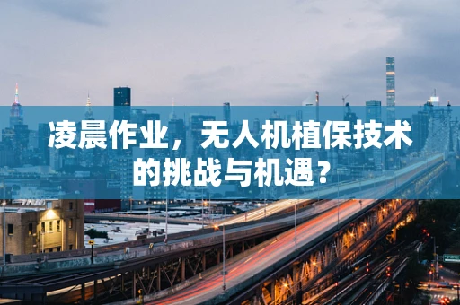 凌晨作业，无人机植保技术的挑战与机遇？