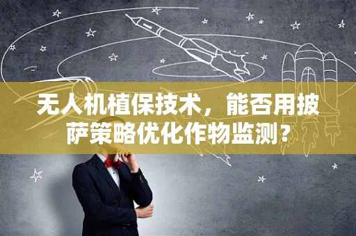 无人机植保技术，能否用披萨策略优化作物监测？