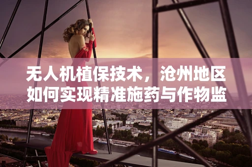 无人机植保技术，沧州地区如何实现精准施药与作物监测？