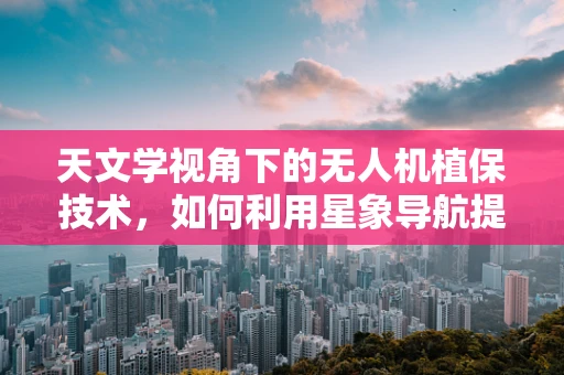 天文学视角下的无人机植保技术，如何利用星象导航提升精准作业？