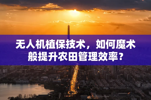 无人机植保技术，如何魔术般提升农田管理效率？