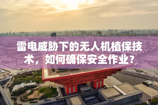 雷电威胁下的无人机植保技术，如何确保安全作业？