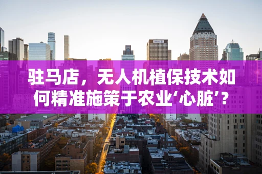 驻马店，无人机植保技术如何精准施策于农业‘心脏’？