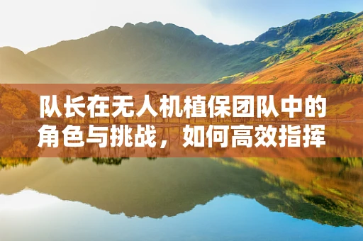 队长在无人机植保团队中的角色与挑战，如何高效指挥与协调？