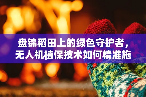 盘锦稻田上的绿色守护者，无人机植保技术如何精准施策？
