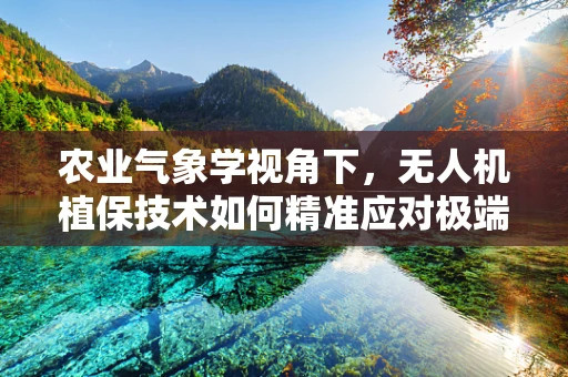 农业气象学视角下，无人机植保技术如何精准应对极端天气？