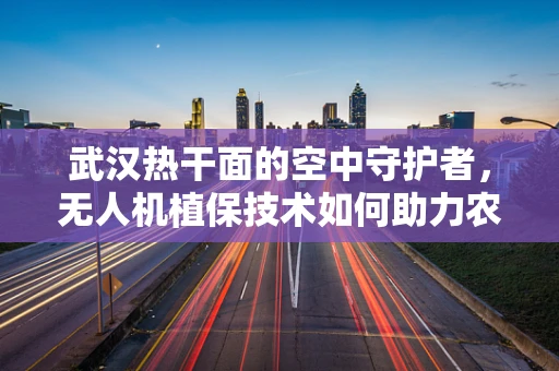 武汉热干面的空中守护者，无人机植保技术如何助力农业？