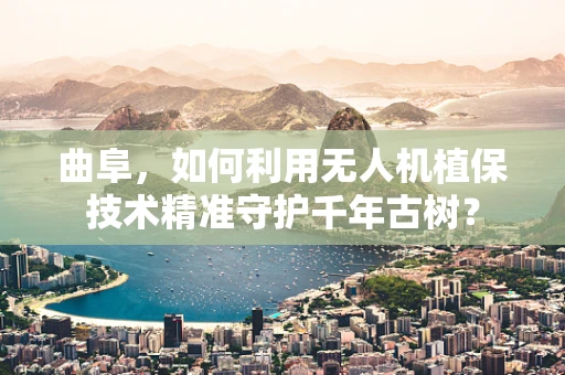 曲阜，如何利用无人机植保技术精准守护千年古树？