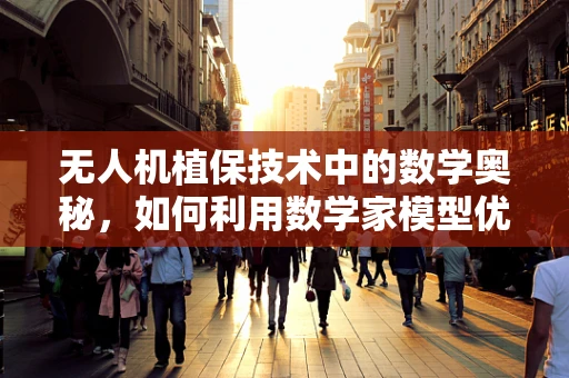 无人机植保技术中的数学奥秘，如何利用数学家模型优化喷洒路径？