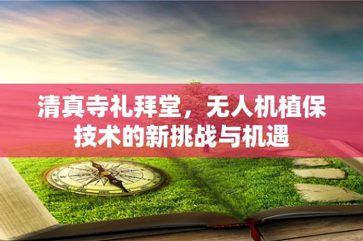 清真寺礼拜堂，无人机植保技术的新挑战与机遇