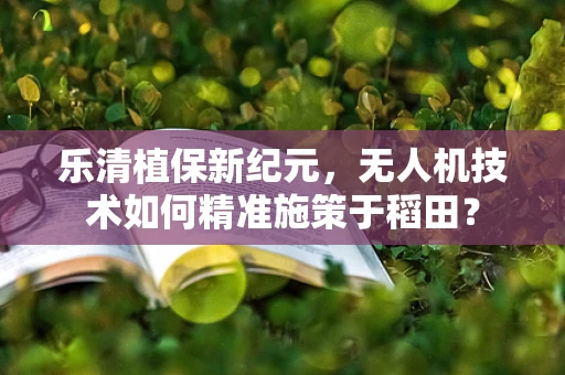 乐清植保新纪元，无人机技术如何精准施策于稻田？