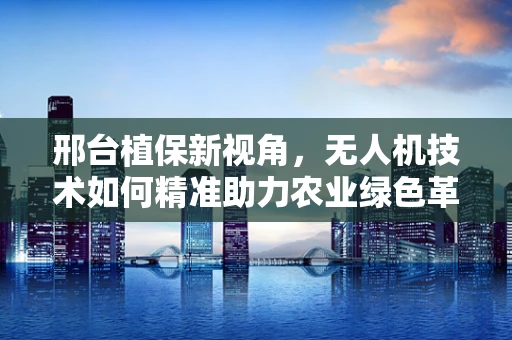 邢台植保新视角，无人机技术如何精准助力农业绿色革命？