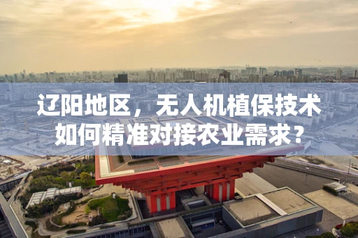 辽阳地区，无人机植保技术如何精准对接农业需求？