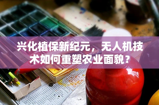兴化植保新纪元，无人机技术如何重塑农业面貌？
