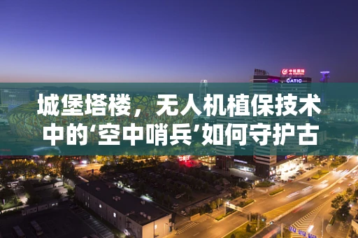 城堡塔楼，无人机植保技术中的‘空中哨兵’如何守护古老遗迹？