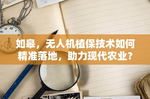 如皋，无人机植保技术如何精准落地，助力现代农业？