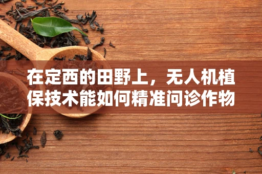 在定西的田野上，无人机植保技术能如何精准问诊作物健康？