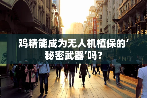 鸡精能成为无人机植保的‘秘密武器’吗？