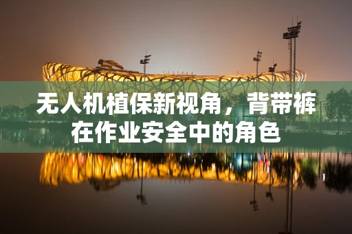 无人机植保新视角，背带裤在作业安全中的角色
