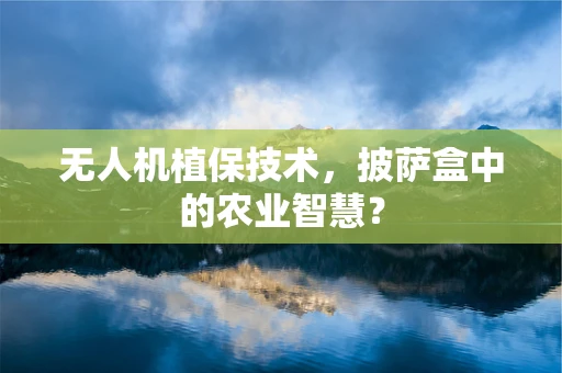 无人机植保技术，披萨盒中的农业智慧？