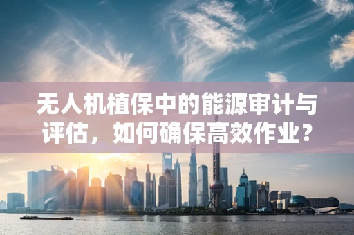 无人机植保中的能源审计与评估，如何确保高效作业？