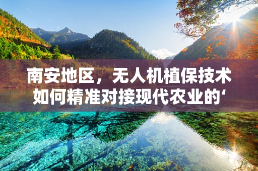 南安地区，无人机植保技术如何精准对接现代农业的‘脉搏’？