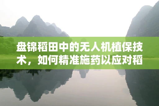 盘锦稻田中的无人机植保技术，如何精准施药以应对稻飞虱挑战？