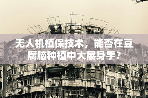 无人机植保技术，能否在豆腐脑种植中大展身手？
