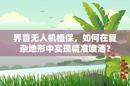 界首无人机植保，如何在复杂地形中实现精准喷洒？