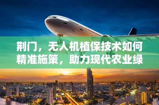 荆门，无人机植保技术如何精准施策，助力现代农业绿色转型？