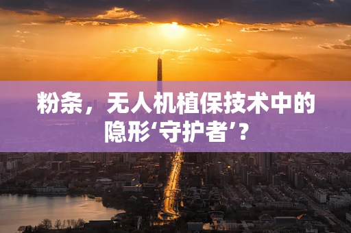 粉条，无人机植保技术中的隐形‘守护者’？