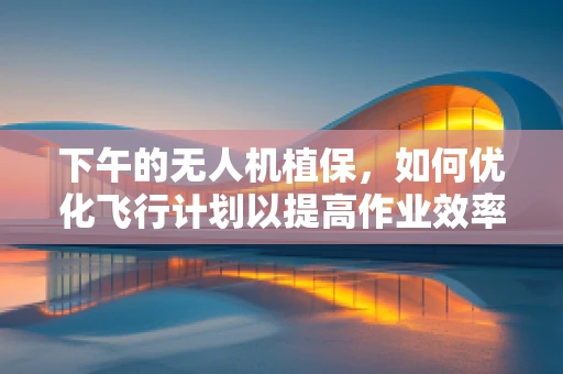 下午的无人机植保，如何优化飞行计划以提高作业效率？