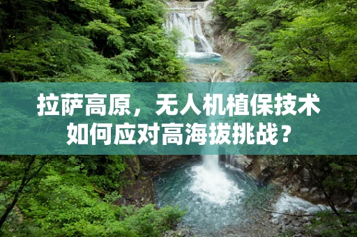 拉萨高原，无人机植保技术如何应对高海拔挑战？