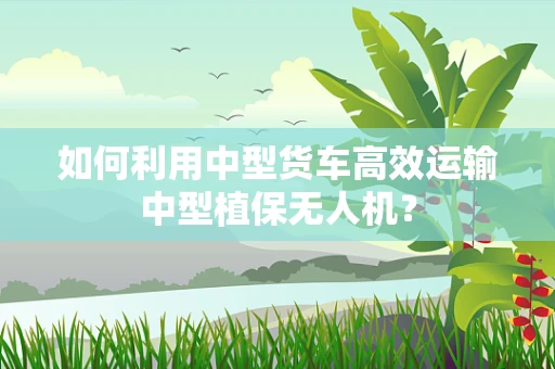 如何利用中型货车高效运输中型植保无人机？